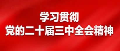 聚焦二十大