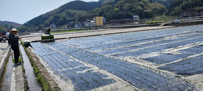 开启水稻综合试验示范区，为提高单产保驾护航