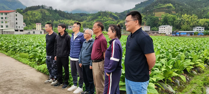 做好稻田生态调查，为水稻绿色行动奠基础
