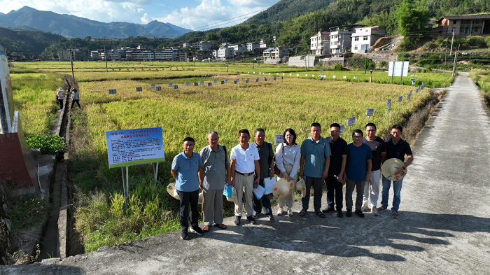 开展水稻再生力鉴定，推进再生稻产业高质量发展