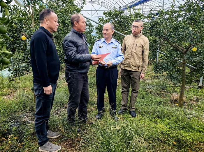 尤溪：尚德守法护金柑 共享食安兴产业