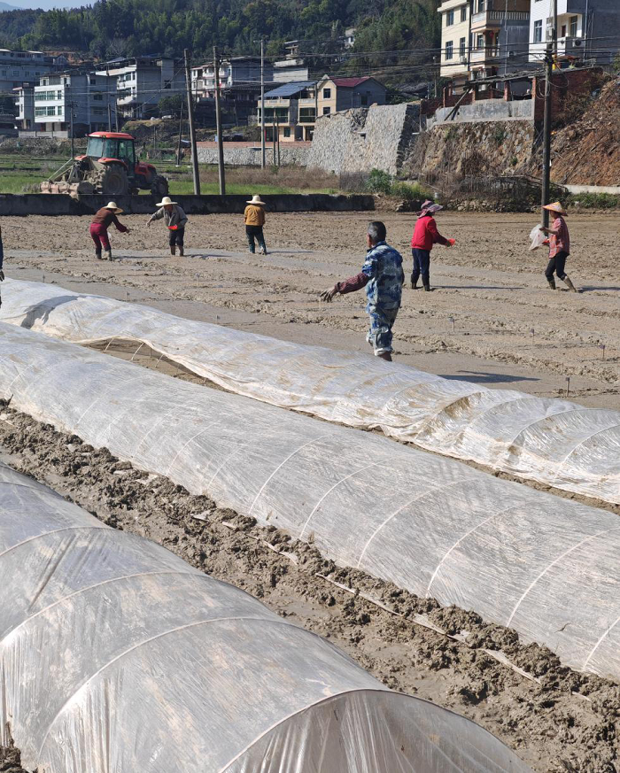 人勤春来早 田间春耕忙 ——早稻再生稻育秧工作全面展开