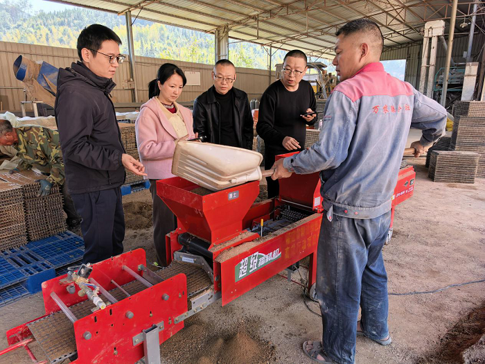 市县农技人员下沉一线精准护航春耕育秧保丰产