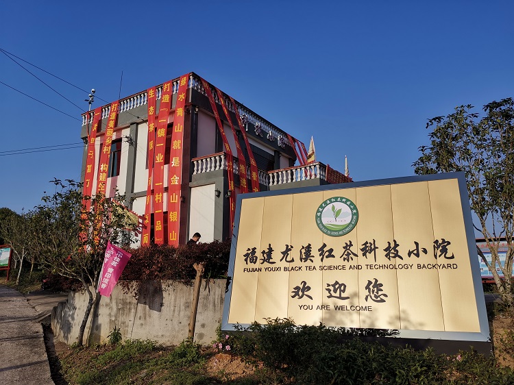 尤溪红茶科技小院结硕果