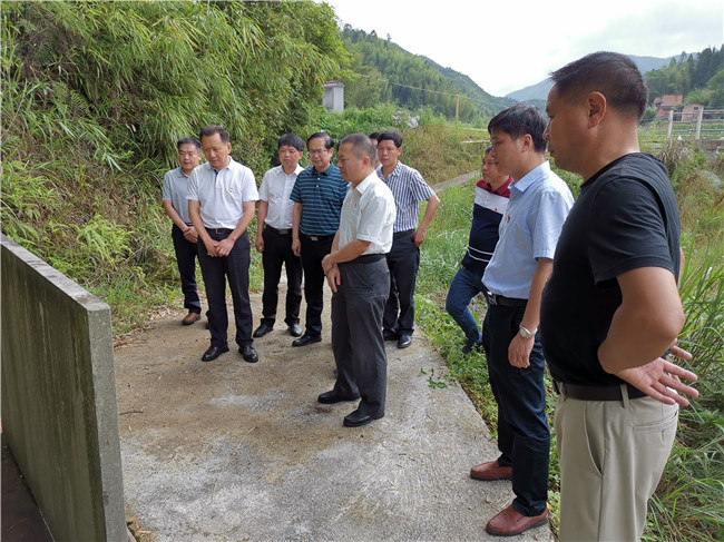 尤溪县委书记杨永生调研茶产业发展情况